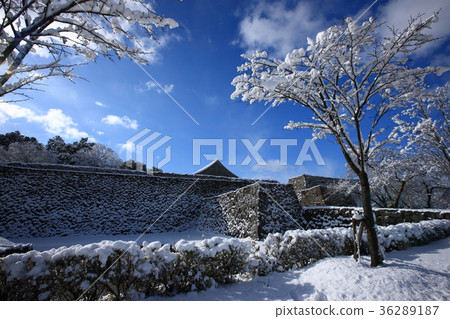 Shinzan城堡在冬天 36289187