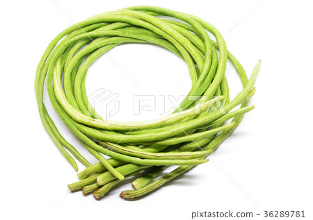 Bunch of fresh long bean 36289781