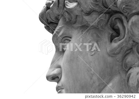 Head of a famous statue by Michelangelo - David 36290942
