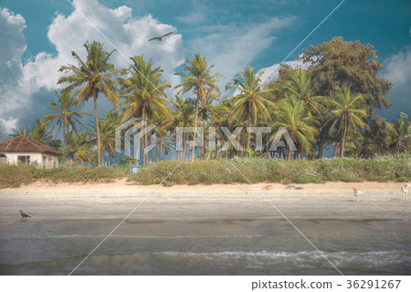 Goa is a state in the south-west of India Goa is a state in the south-west of India 36291267