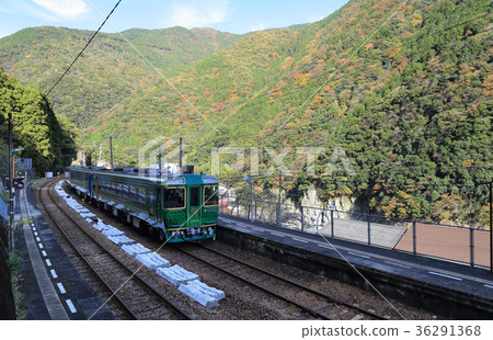 在Tsubaki線的JR四國和Koho站停靠的限時觀光列車“四國Manaka千年故事” 36291368