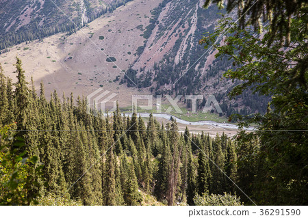 Kyrgyzstan. Gorge Barskoon. Kyrgyzstan. Gorge Barskoon. 36291590