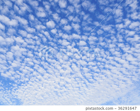 羊雲 羊雲 36291647