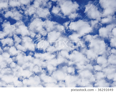 羊雲 羊雲 36291649