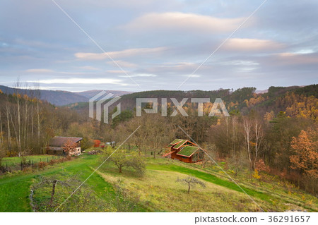 Green living sod roof with grass on wooden house 36291657
