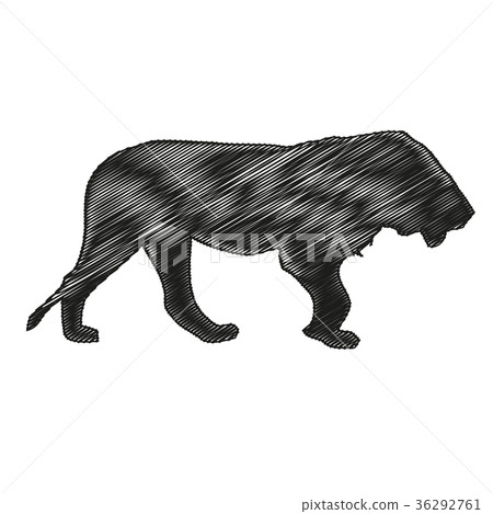 Lion silhouette, lion, wildcat, label, logo 36292761