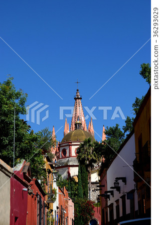 San Miguel de Allende (Mexico) 36293029