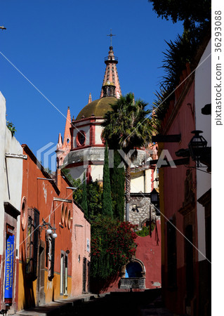 San Miguel de Allende (Mexico) 36293088