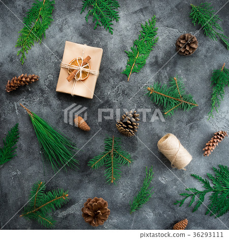 Christmas gift box with twine and winter plants Christmas gift box with twine and winter plants 36293111