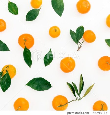 Fresh citrus with leaves on white background Fresh citrus with leaves on white background 36293114