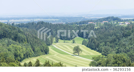 Sunrise over fields and woods 36293156