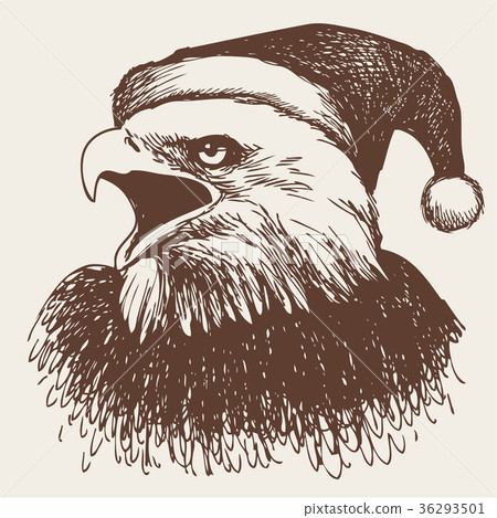 eagle bird with christmas hat, doodle hand 36293501