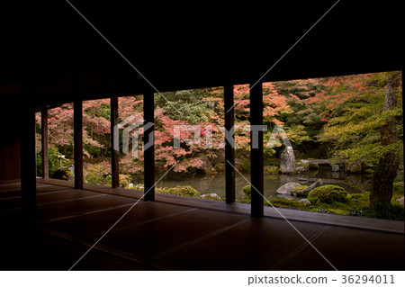 Autumn leaves Kyoto Lotus Temple 1 36294011