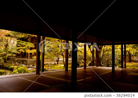 Autumn leaves Kyoto lotus temple 4 36294014