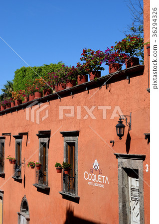 San Miguel de Allende (Mexico) 36294326
