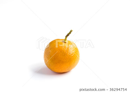 Orange color of Kumquat on white background Orange color of Kumquat on white background 36294754