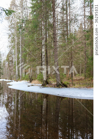 Partially frozen forest river 36295831