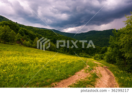 grassy field on hillside in stormy weather 36299217