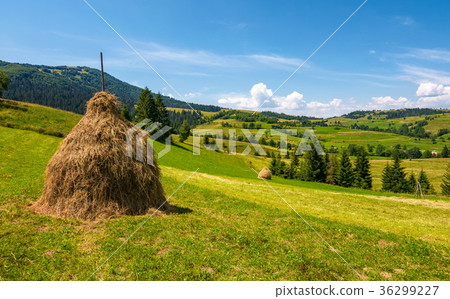 haystack on a grassy rural field in mountains haystack on a grassy rural field in mountains 36299227