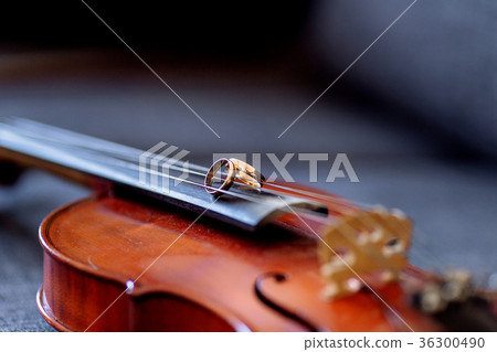 Wedding rings on the violin 36300490