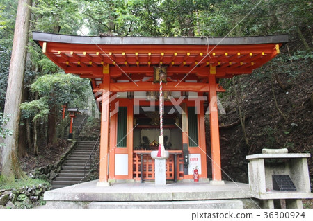 Pommel horse 36300924