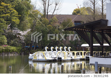Shimosuke Park Shimosuke Park 36301246