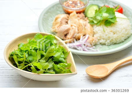Thai Food, Ethnic Food, Hainan Chicken Rice, Khao Man Guy. Serve with Pakchi. Thai Food, Ethnic Food, Hainan Chicken Rice, Khao Man Guy. Serve with Pakchi. 36301269