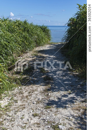 Entrance of Hatama Island Tateharahama (Okinawa) 36302054
