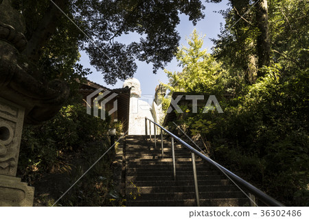 The Great Buddha of the Japan Temple The Great Buddha of the Japan Temple 36302486