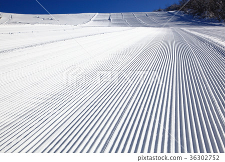 處女坡(藏王麗莎滑雪場) 處女坡(藏王麗莎滑雪場) 36302752