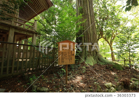From Susa Shrine From Susa Shrine 36303373