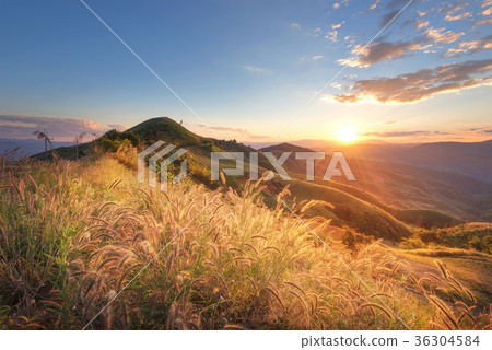 Doi Chang sunset view in Chiang Rai, Thailand 36304584