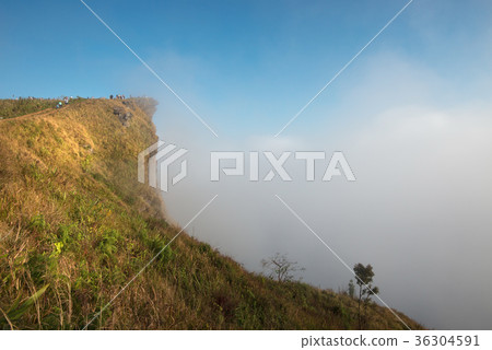 Phu Chi fa cliff, Chiang rai, Thailand 36304591