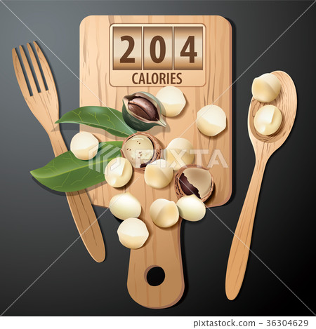 Vector of Calories in macadamia 36304629