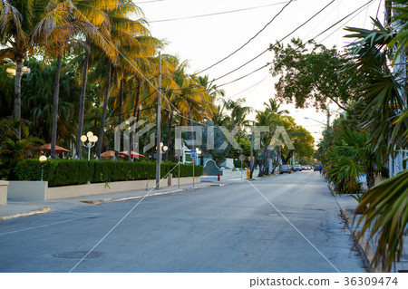 The historic and popular center and Duval Street 36309474