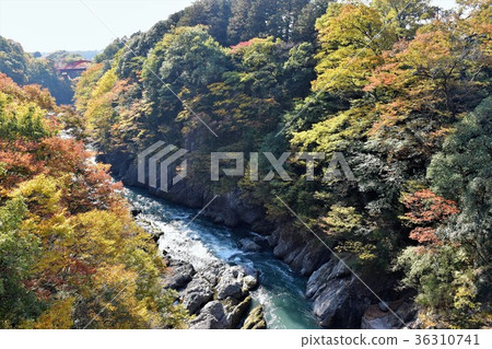 Watarase Valley Watarase Valley 36310741