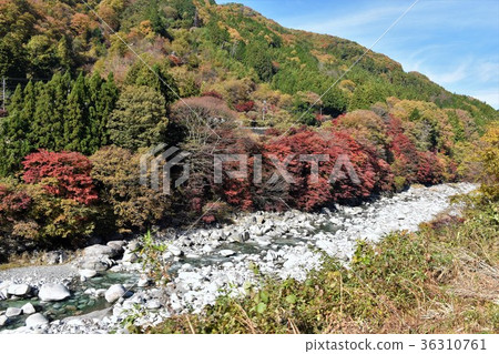 Watarase Valley Watarase Valley 36310761