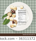 Vector of Nutrition facts one oz of  macadamia 36311372