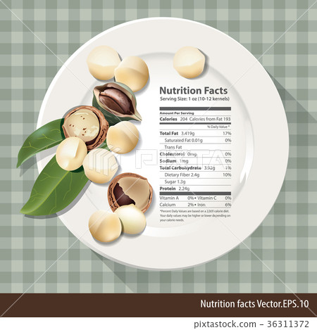 Vector of Nutrition facts one oz of  macadamia 36311372