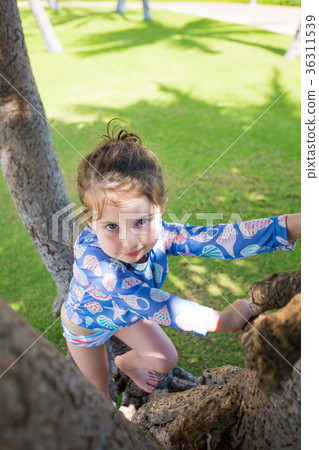 Tree Climbing Hawaii 36311539