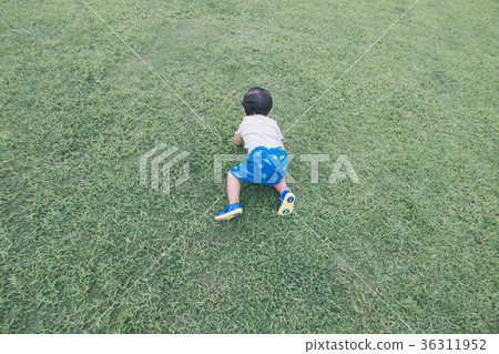 2 years old, 2-years-old, little child 36311952
