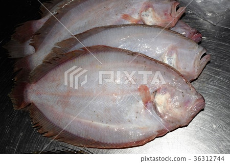 Ganzo Birame 36312744