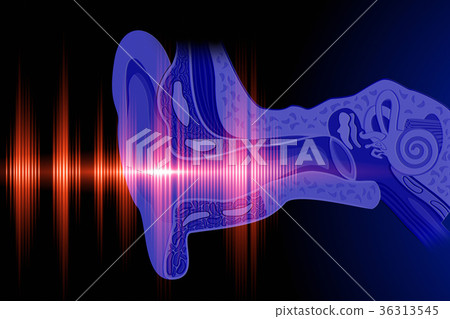Hear the sound wave 36313545
