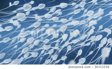 Human sperm flow 36313548
