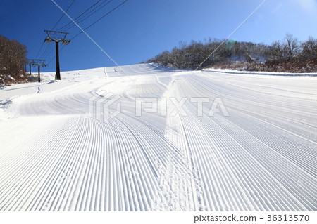 Virgin Slope (Zao Liza Ski Resort) Virgin Slope (Zao Liza Ski Resort) 36313570