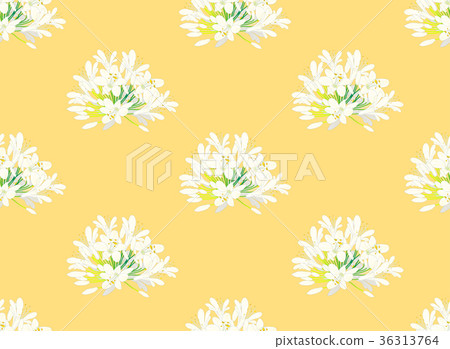 Snow White Agapanthus on Yellow Background. Snow White Agapanthus on Yellow Background. 36313764