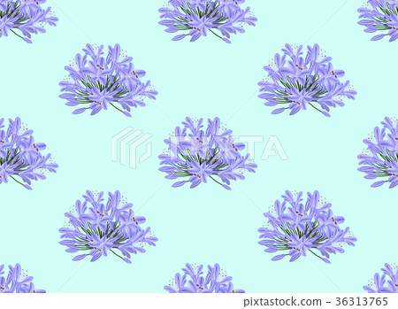 Blue Purple Agapanthus on Light Blue Background Blue Purple Agapanthus on Light Blue Background 36313765