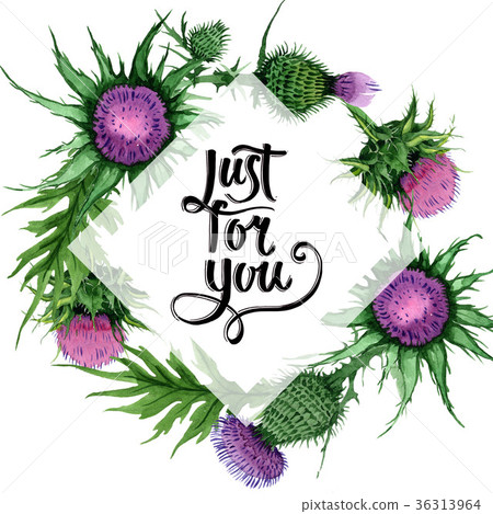 Wildflower budyak flower frame in a watercolor 36313964