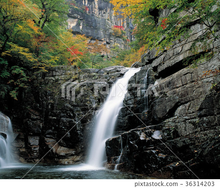 Ssangbok, Mureung Valley, Duta Mountain, Donghae, Gangwon-do Ssangbok, Mureung Valley, Duta Mountain, Donghae, Gangwon-do 36314203