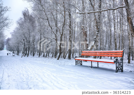 Park bench and trees covered by heavy snow 36314223
